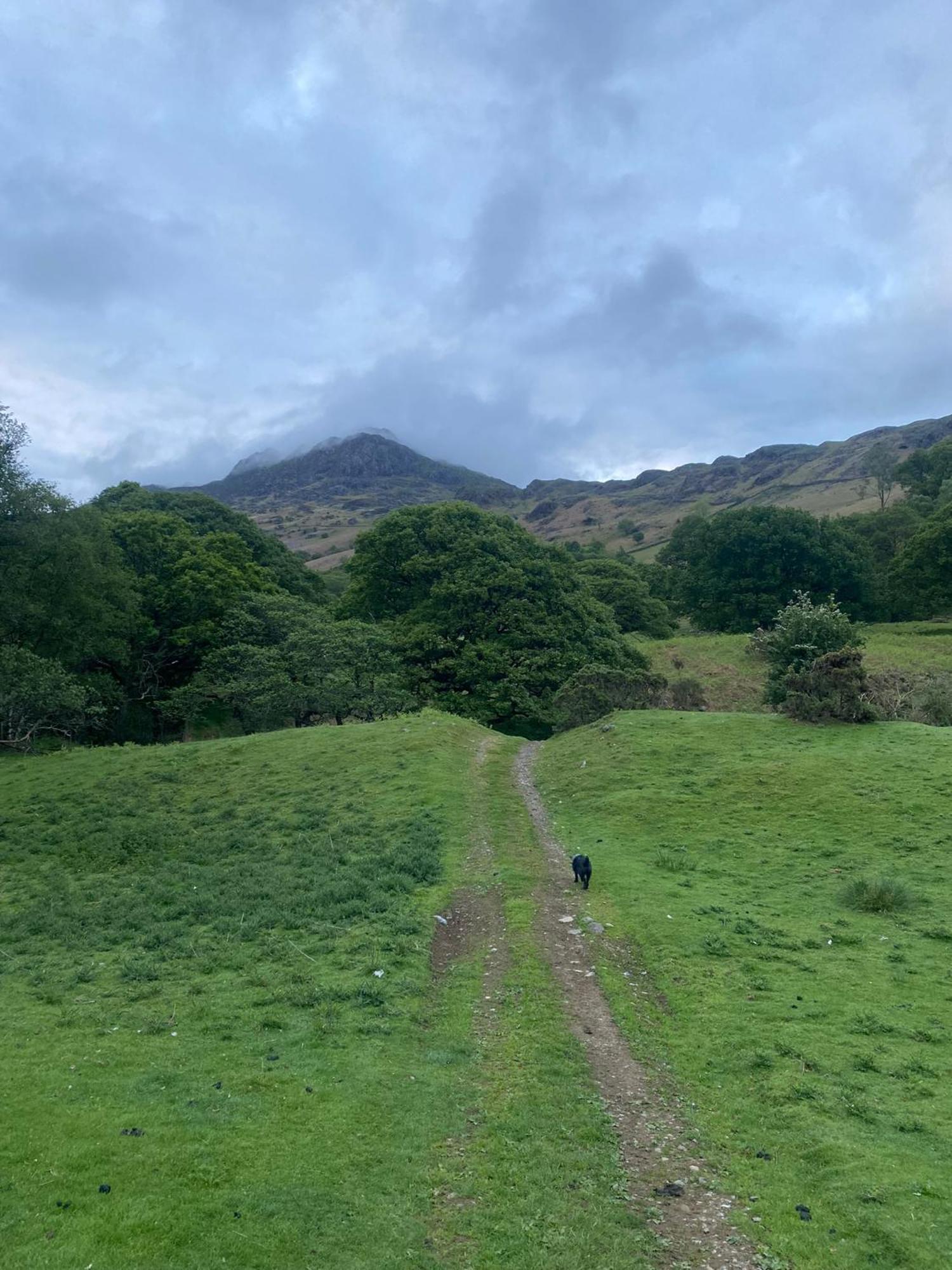 Cosy Glamping In The Eskdale Valley - Studio Lodges And Mega Pods 외부 사진