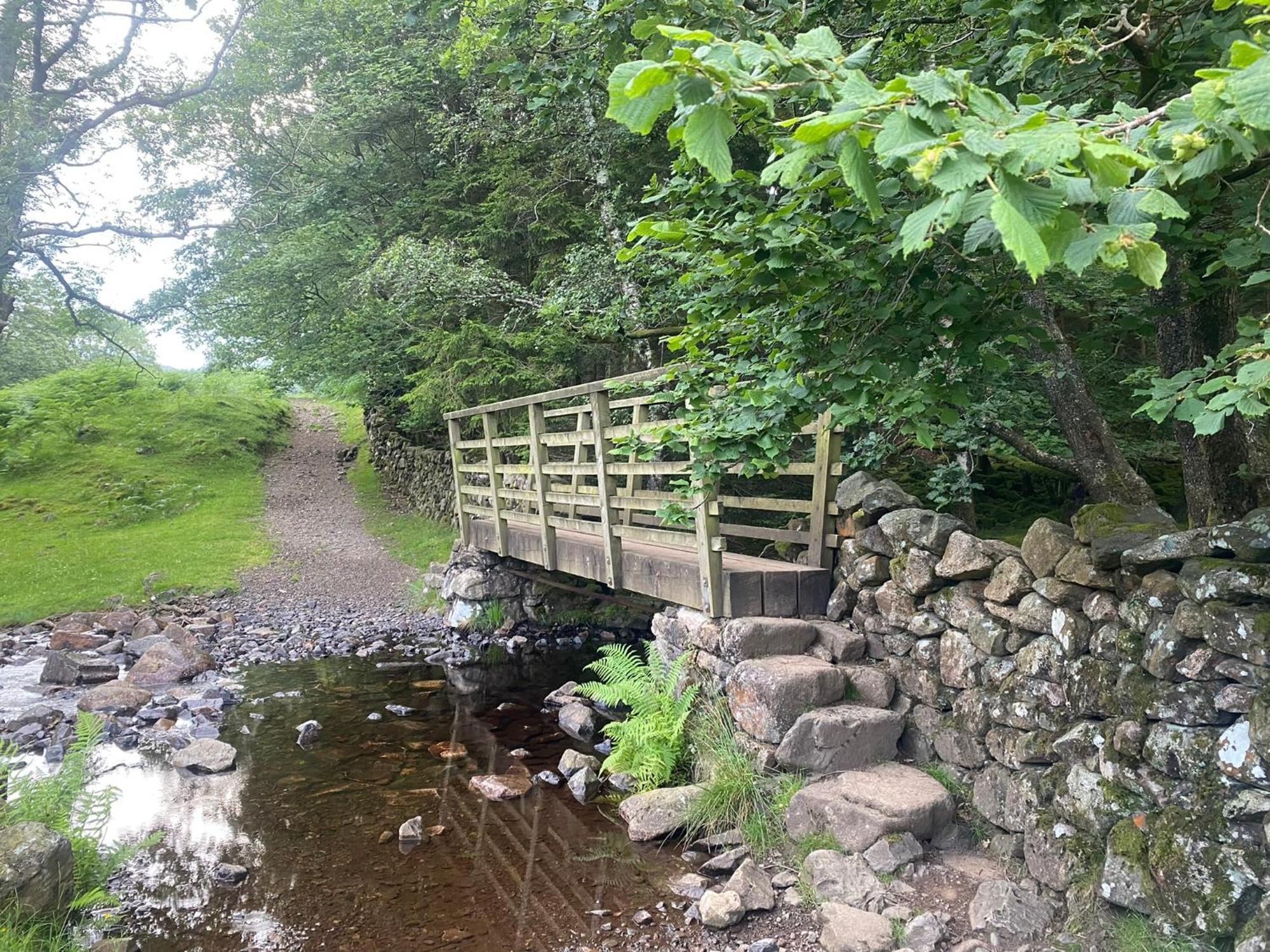 Cosy Glamping In The Eskdale Valley - Studio Lodges And Mega Pods 외부 사진
