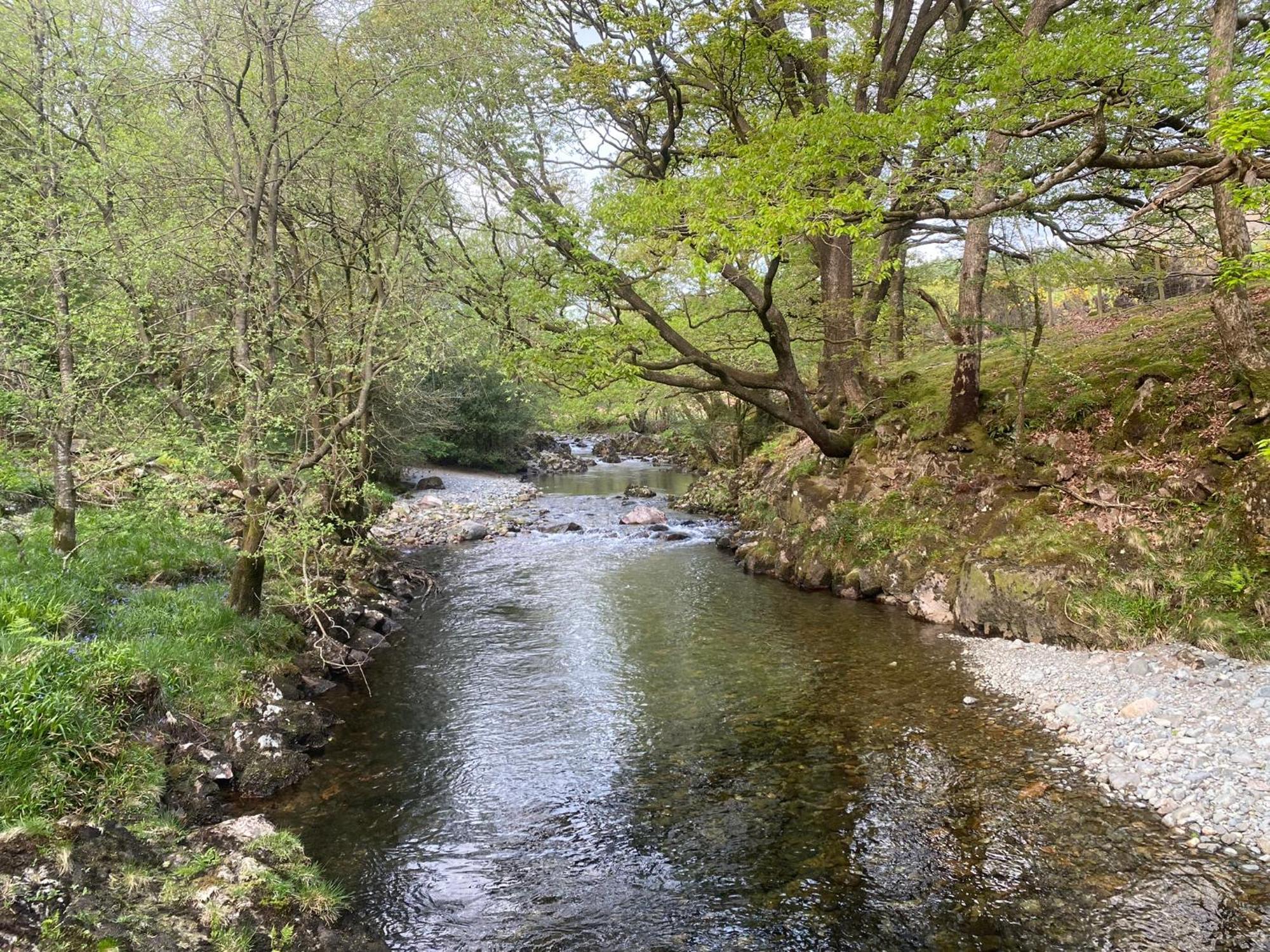 Cosy Glamping In The Eskdale Valley - Studio Lodges And Mega Pods 외부 사진